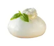 Burrata