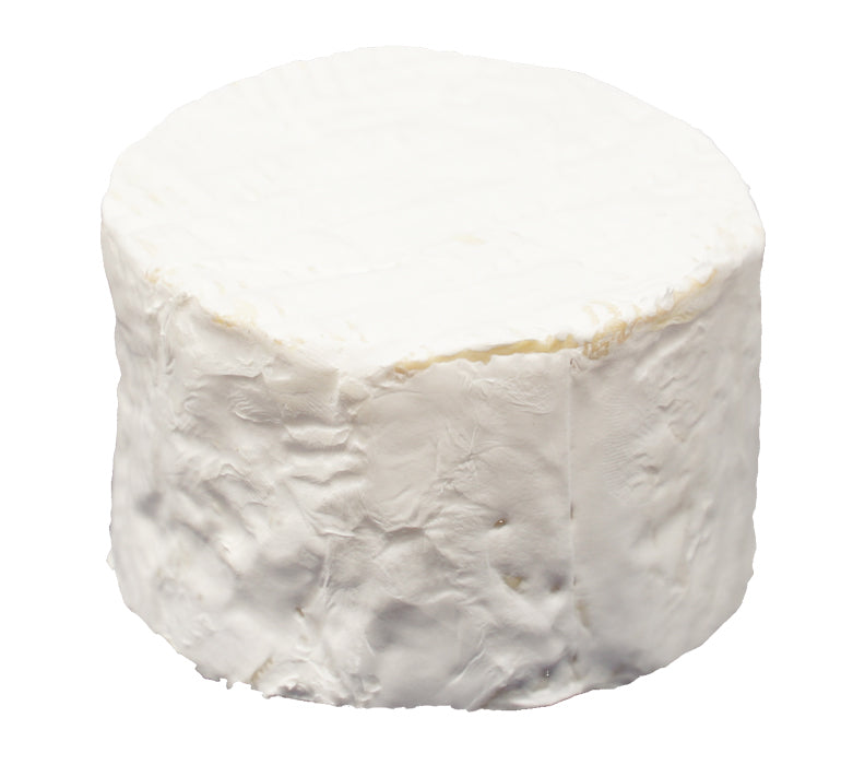 Alexis de Portneuf Lady Laurier d'Arthabaska - Vanilla